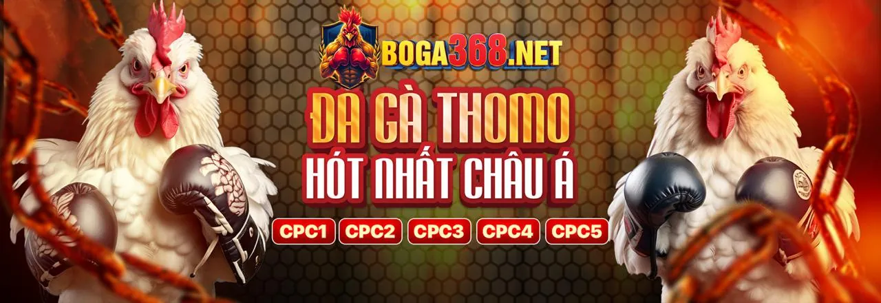 Hình ảnh chính về cờ bạc có trách nhiệm tại tải bo88bet