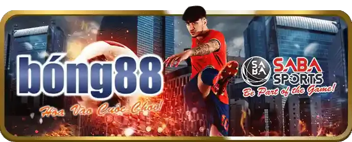 Tổng quan các môn thể thao cá cược tại bo88bet